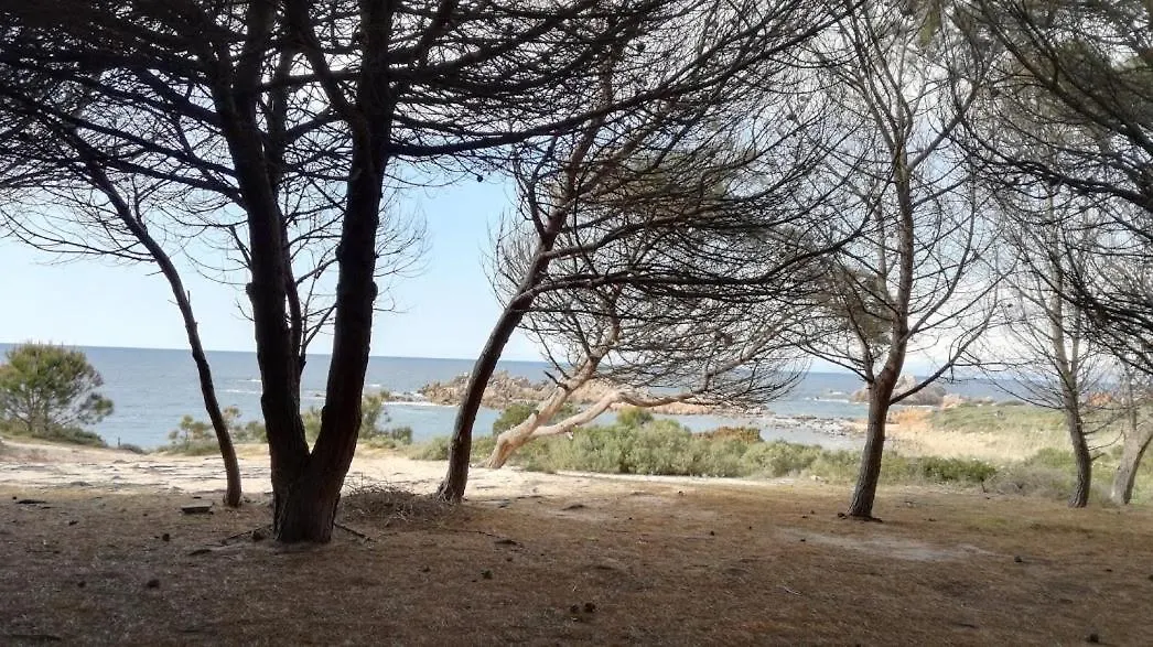 Bouganville Residence ايزولا روسا 0*,  إيطاليا